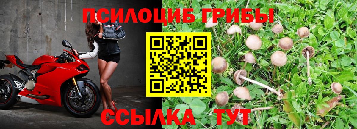 Галлюциногенные грибы Magic Shrooms  даркнет сайт  Галлюциногенные грибы Psilocybine cubensis  Глазов  Вход с VPN 